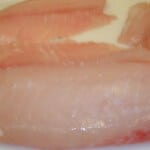 dscn4804