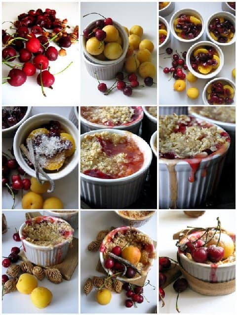 noid-apricot_cherry_crumble noid-apricot_cherry_crumble