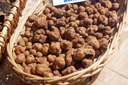 white truffles white truffles