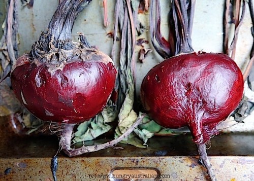roasted beets