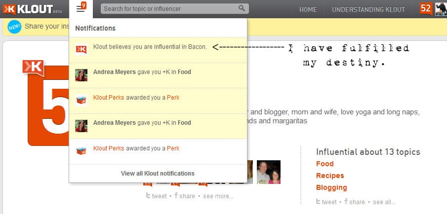 - Klout Influence Report_1329575059426 copy klout