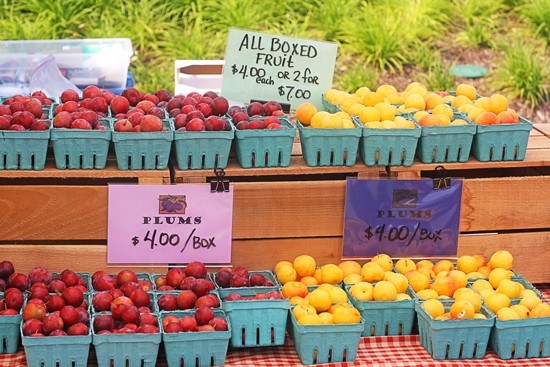 fruit at farmers market