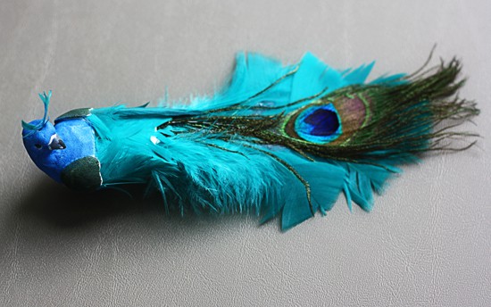 peacock peacock