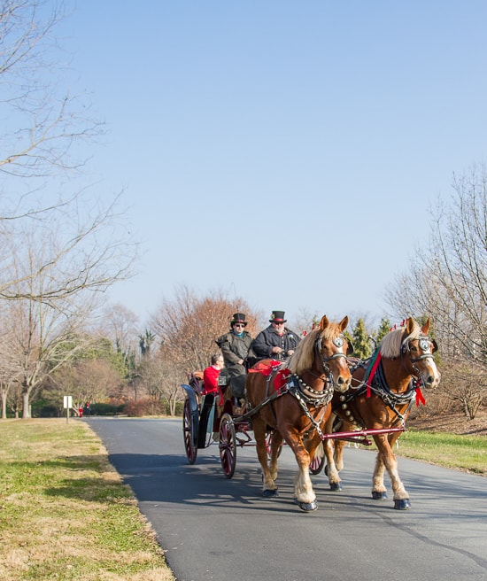 middleburg christmas parade
