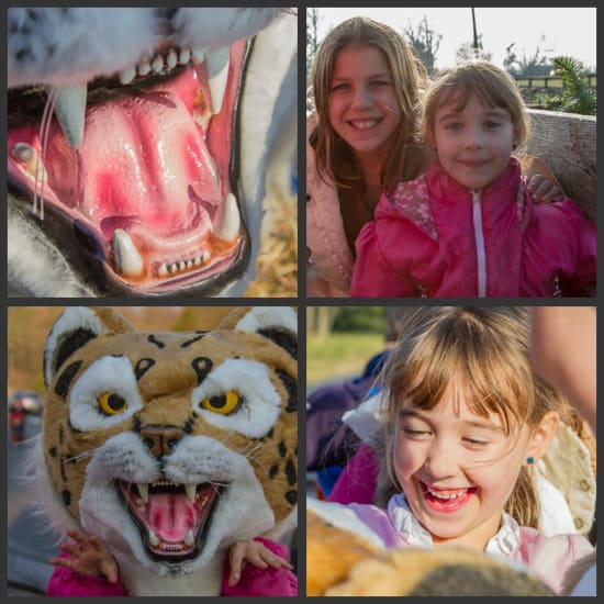 middleburg christmas parade