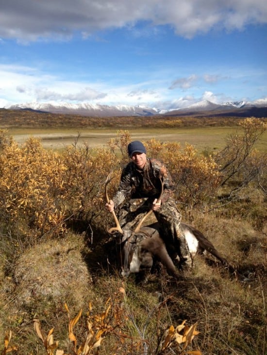 Caribou from Alaska