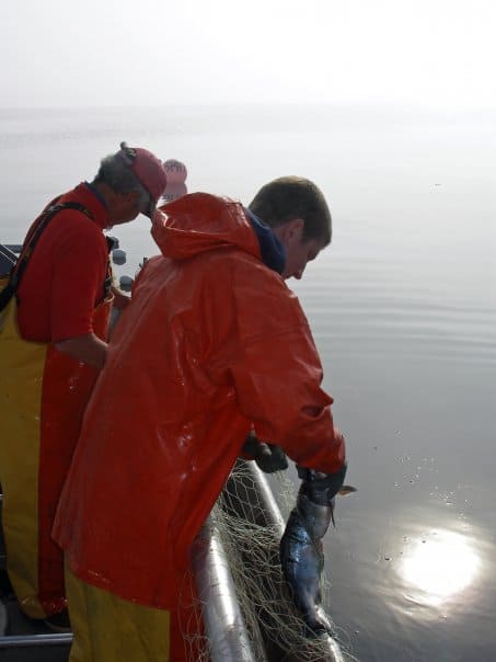 Setnetting Alaska