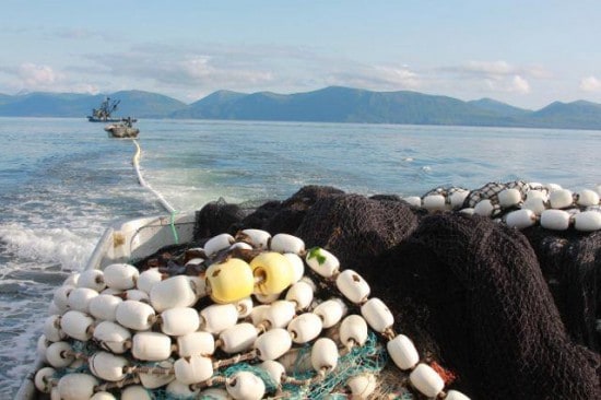 Setting the net Alaska fishing