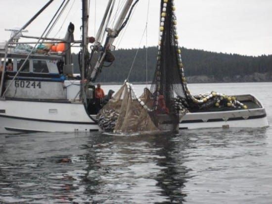Steadfast Alaska Fishing
