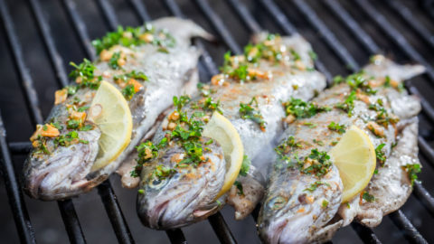 44 Best Grill Recipes