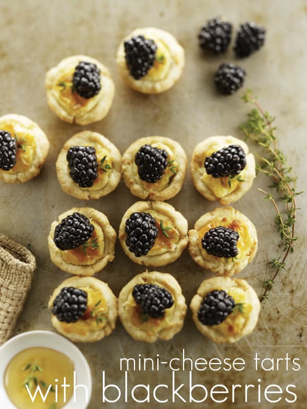 Bite-Sized Cheese Tarts with Blackberries - these are so elegant and tasty! Perfect for an appetizer, brunch or shower! | thewickednoodle.com