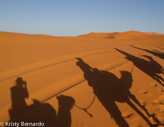 camel trek in Sahara desert