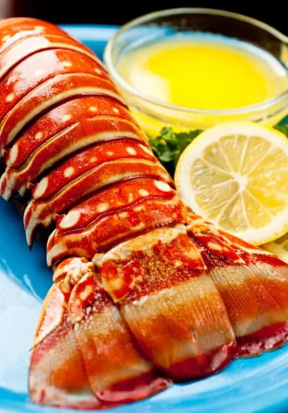 How to Grill Lobster Tails + Grilled Lobster Tail Recipe