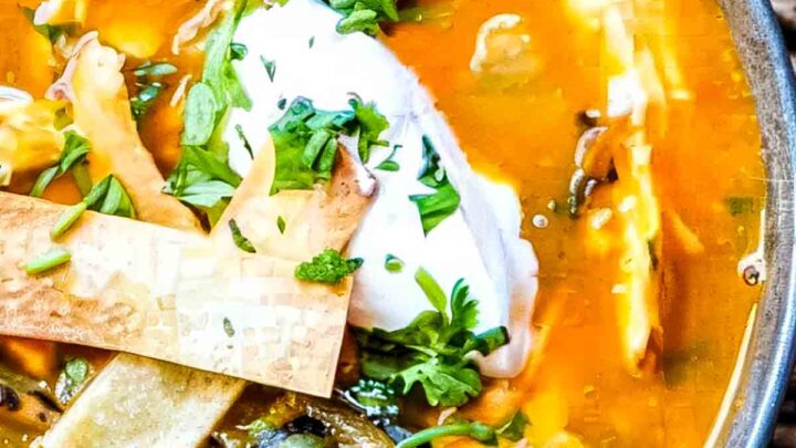 a closeup of a bowl of chicken tortilla soup with hatch chiles that's topped with crispy tortilla strips, sour cream, and chopped fresh cilantro