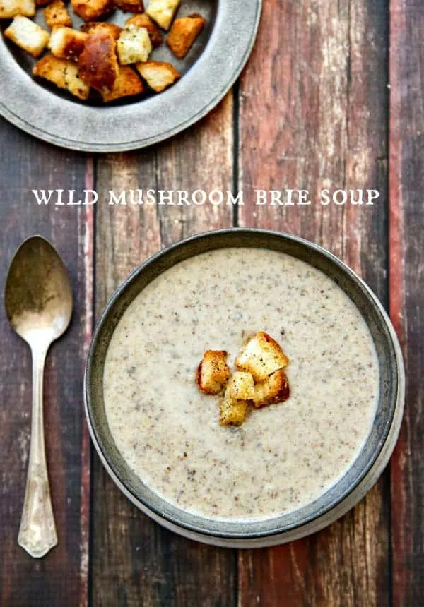 Wild Mushroom Brie Soup - this is the BEST mushroom soup you will ever taste!