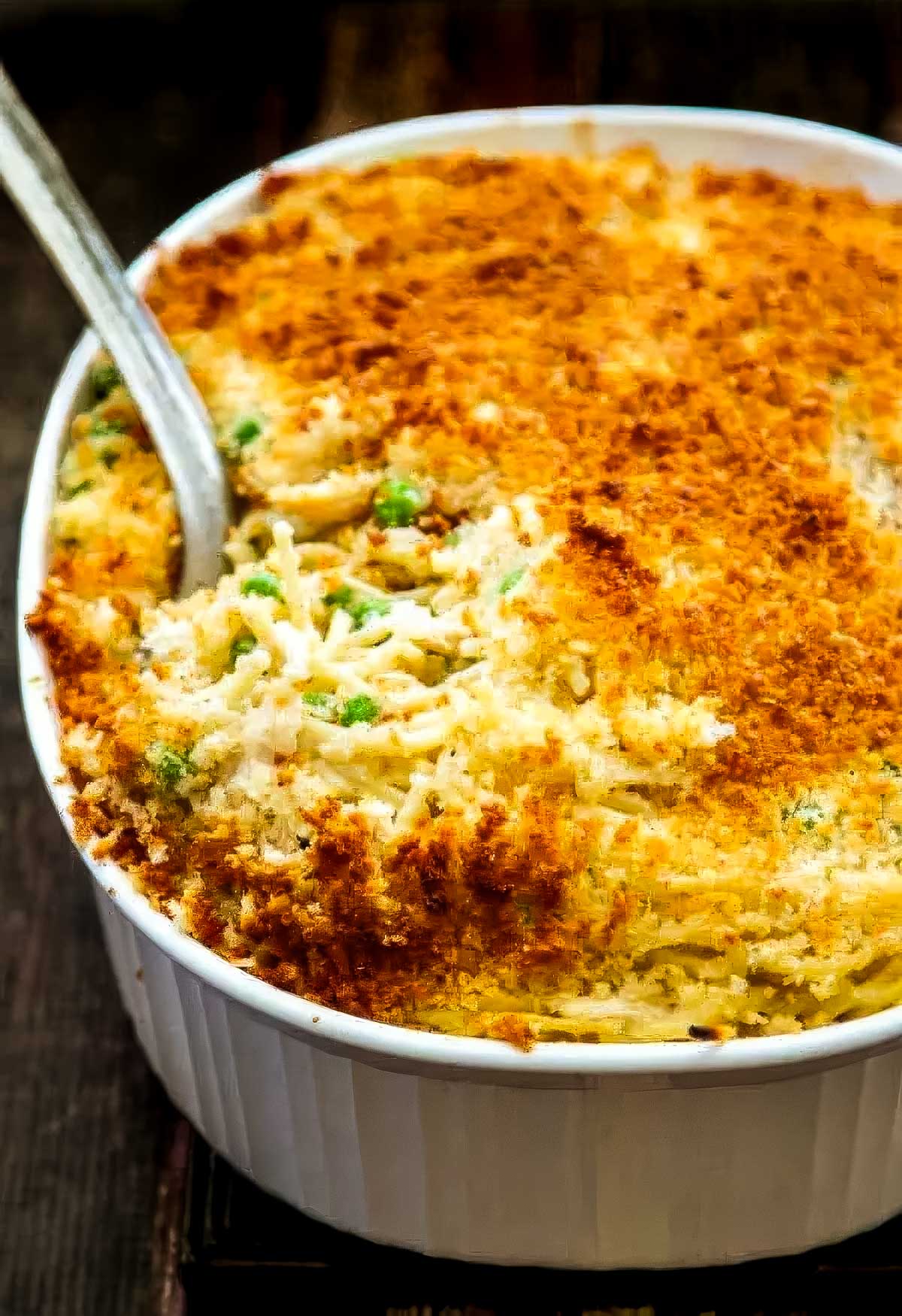 The BEST Turkey Tetrazzini (with Parmesan-Panko Topping) turkey tetrazzini just out of the oven in a white casserole dish and a serving spoon scooping out the first serving