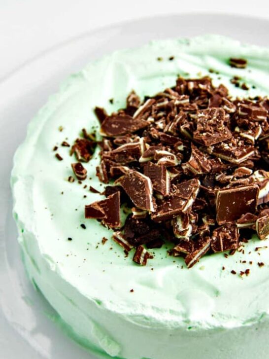 This Chocolate Mint Icebox Cake is SO simple you won't believe it! Creamy mint whipped cream with chocolate wafers and chopped Andes mints - SO GOOD!!