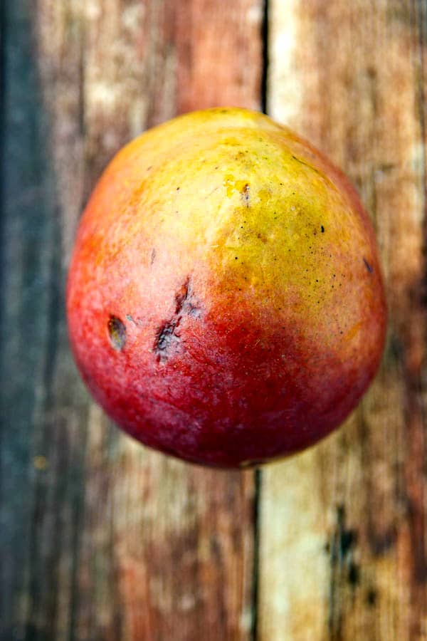 Mango Barbecue Mahi Mahi • The Wicked Noodle