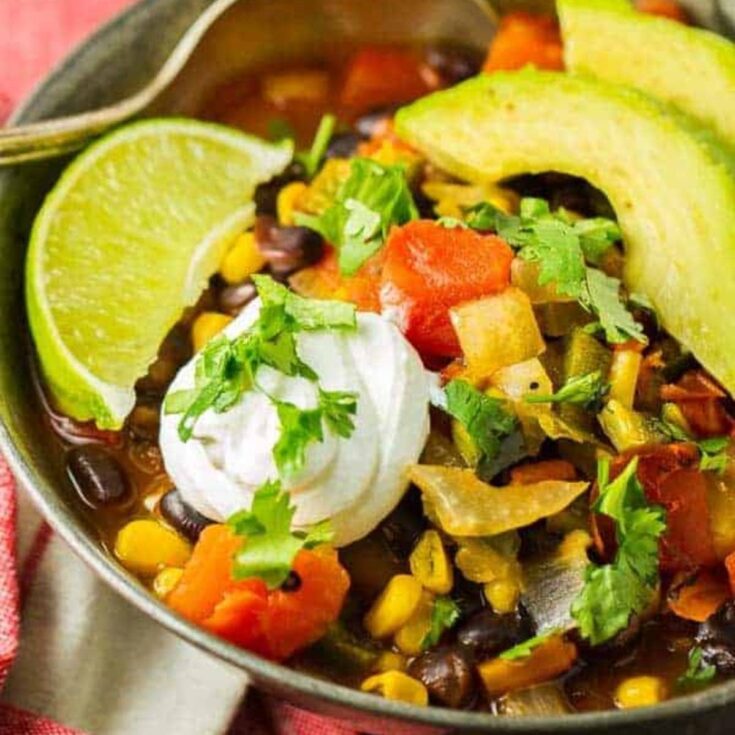 Healthy Black Bean Enchilada Soup