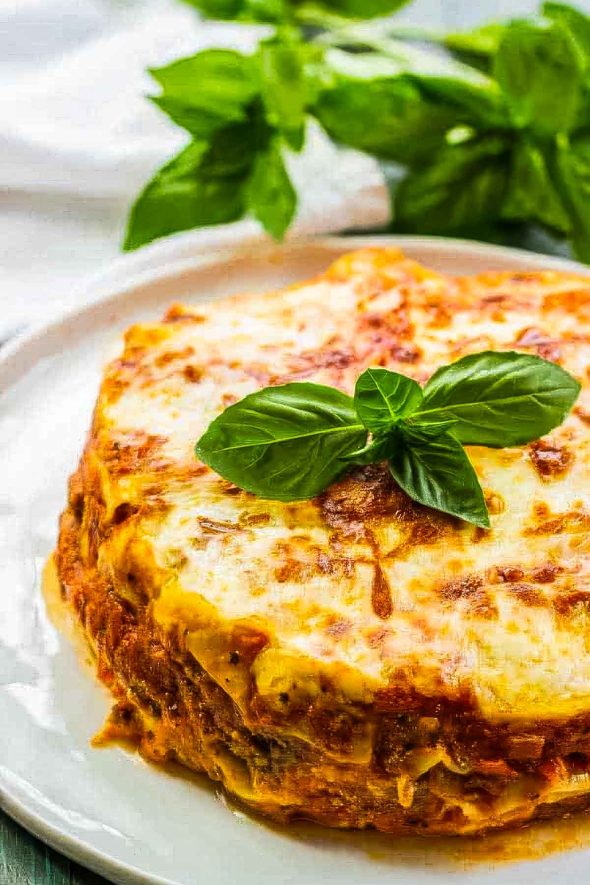 instant pot lasagna on a white plate garnished with fresh basil, with more fresh basil in the background