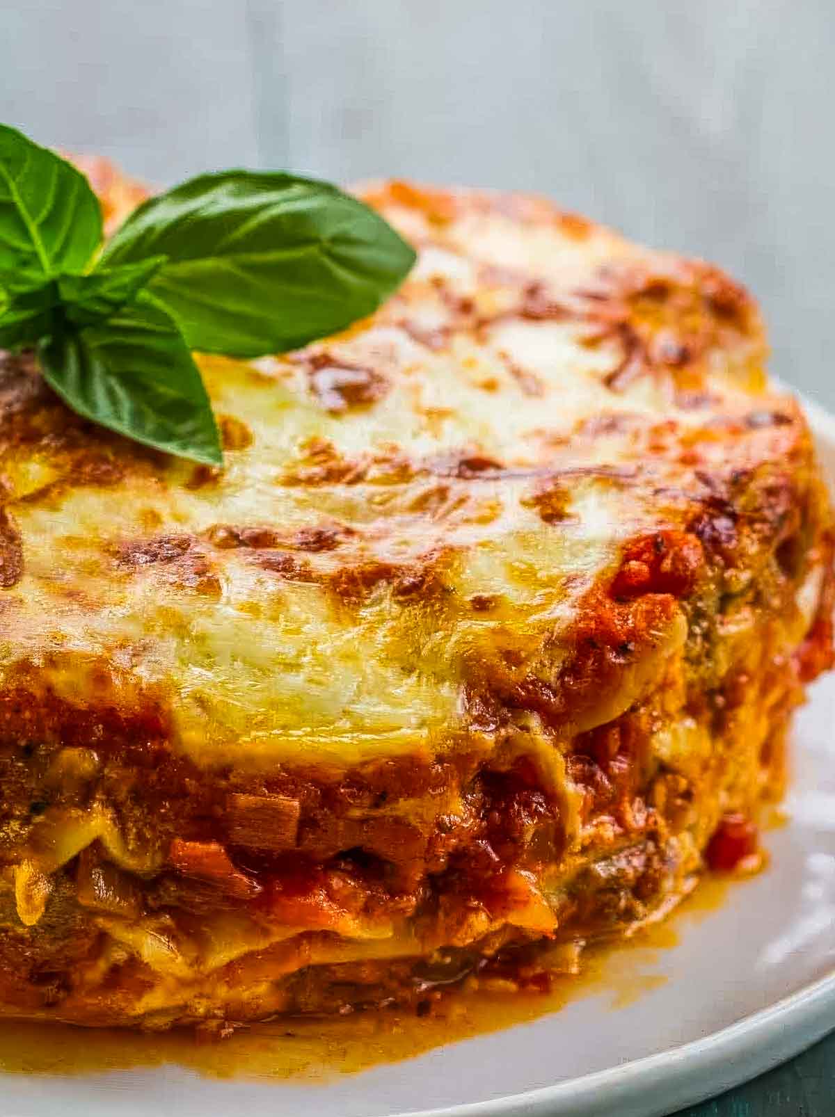 a side view of instant pot lasagna on a white plate garnished with fresh basil