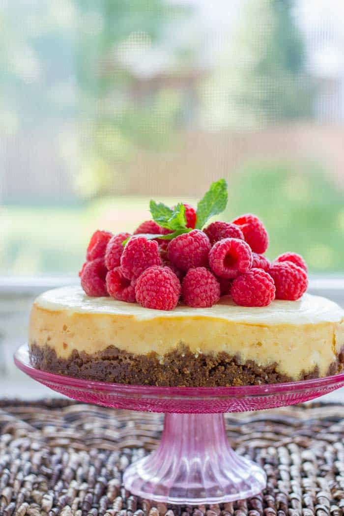 Lemon Instant Pot Cheesecake - the creamiest cheesecake we've made in our Instant Pot (or otherwise) yet! The gingerbread crust pairs perfectly with the delicate lemon flavor. Top it with fresh raspberries for a show-stopping dessert!