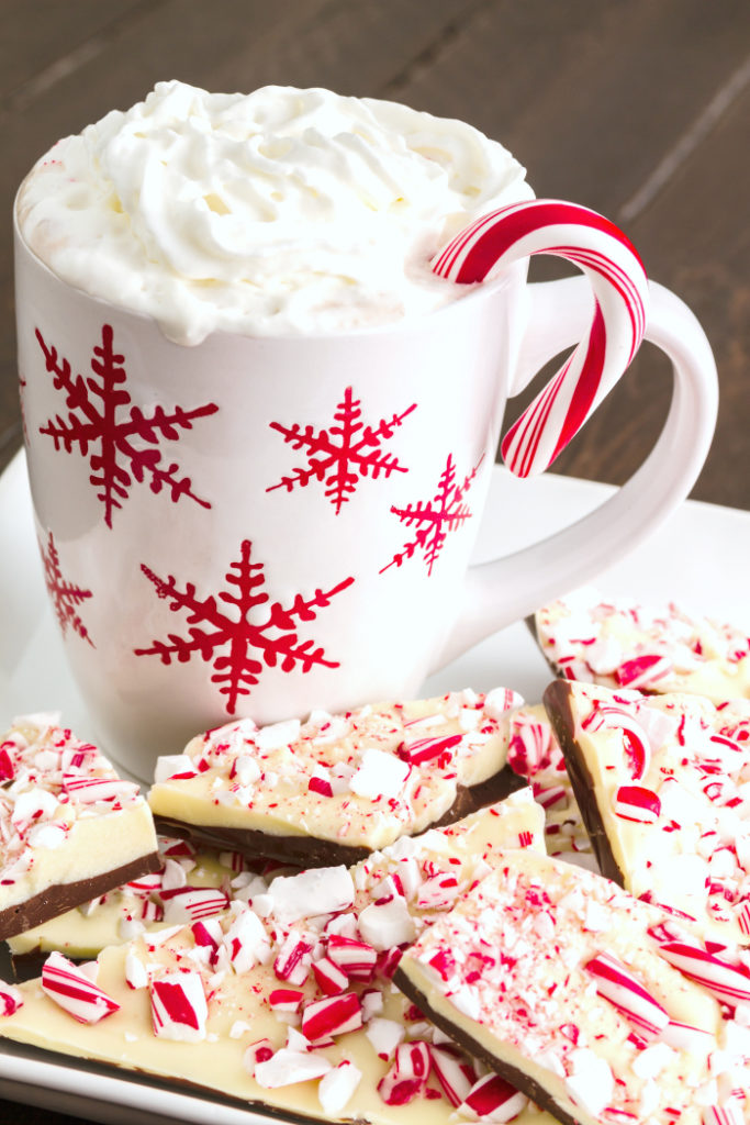 Plate of holiday chocolate peppermint bark candy with cup of hot cocoa with whipped cream for Santa
