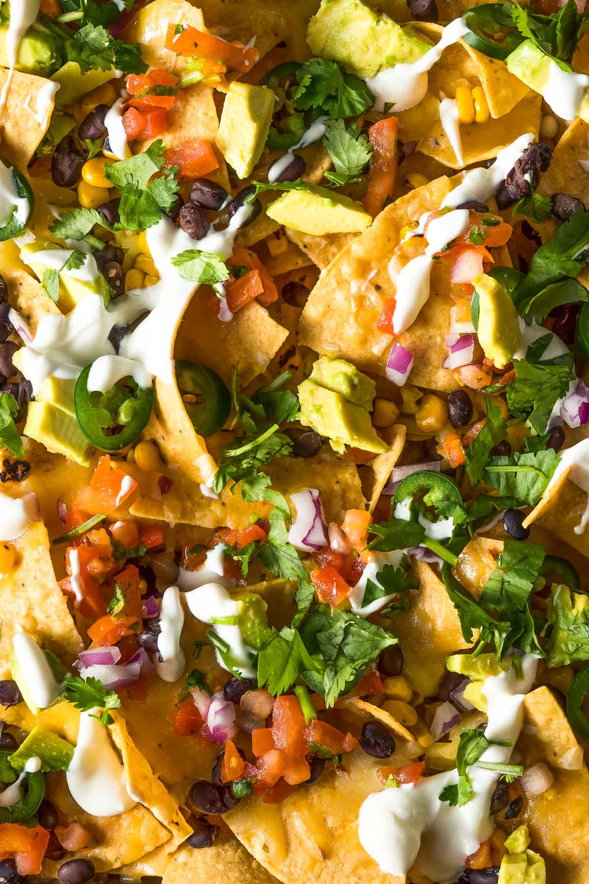 How To Make Nachos In The Oven • The Wicked Noodle