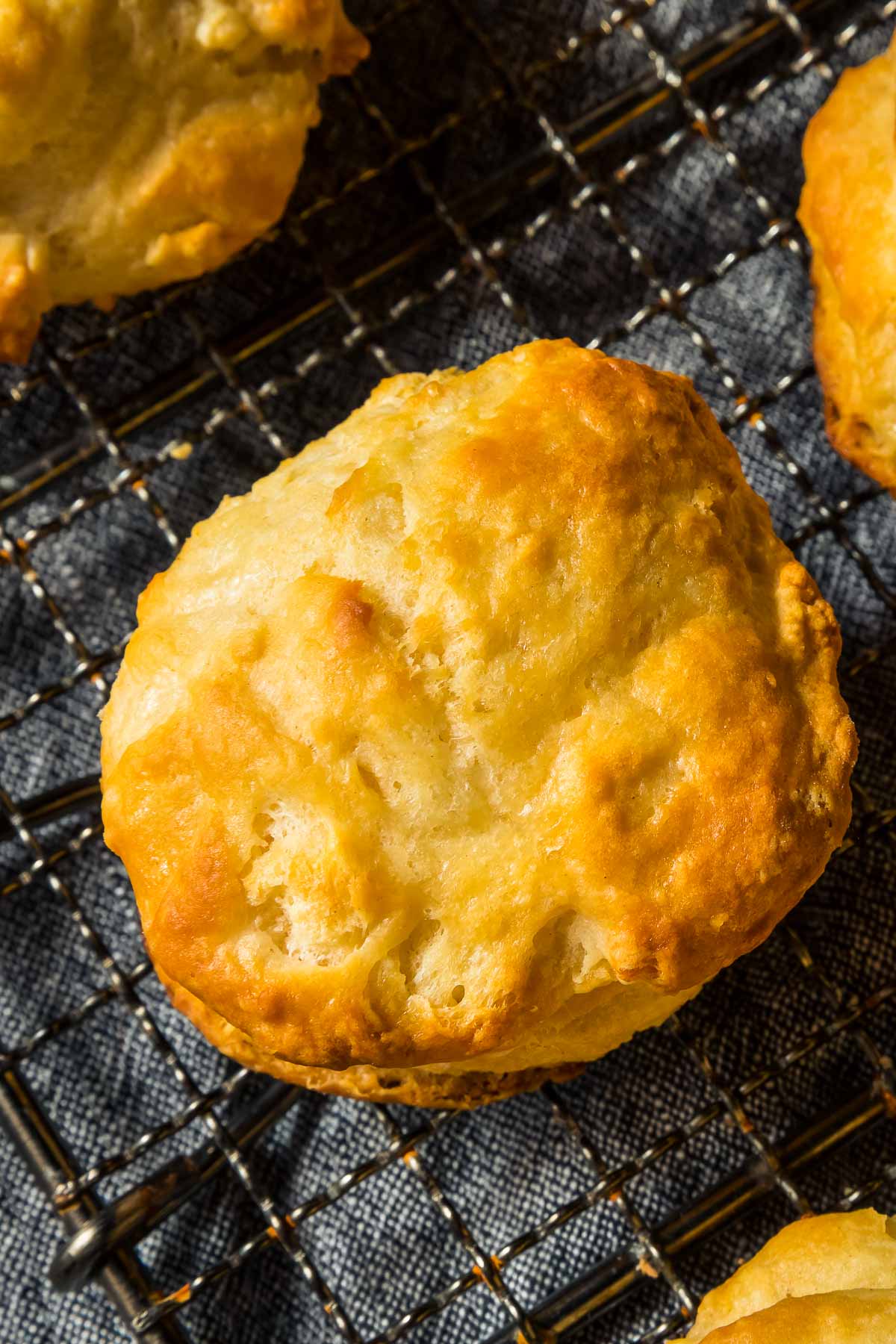 Easy And Fast Almond Flour Biscuits • The Wicked Noodle