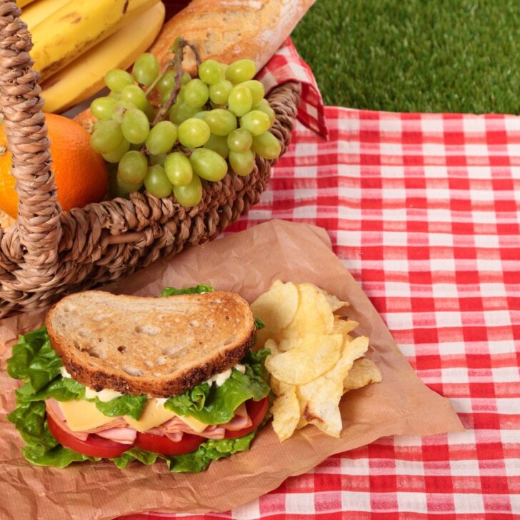 National Picnic Day • The Wicked Noodle