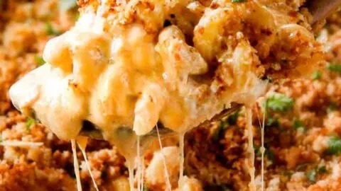 44 Best Mac and Cheese Recipes