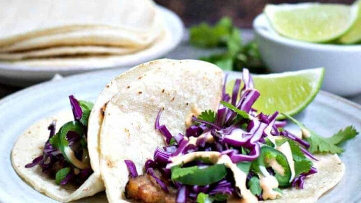 Pork Belly Tacos