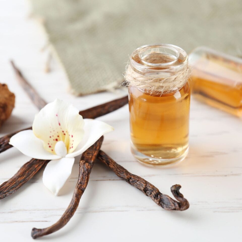 Vanilla Extract Substitutes • The Wicked Noodle