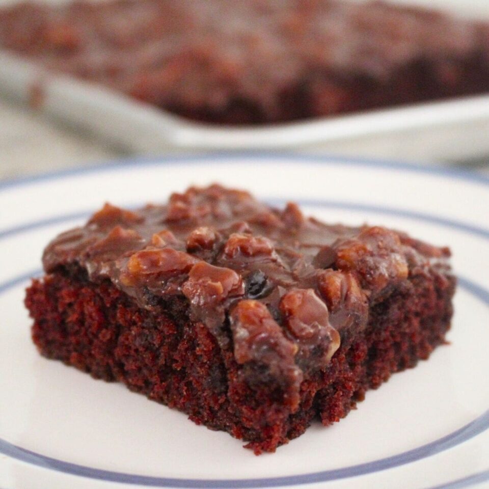 Buttermilk Texas Sheet Cake • The Wicked Noodle