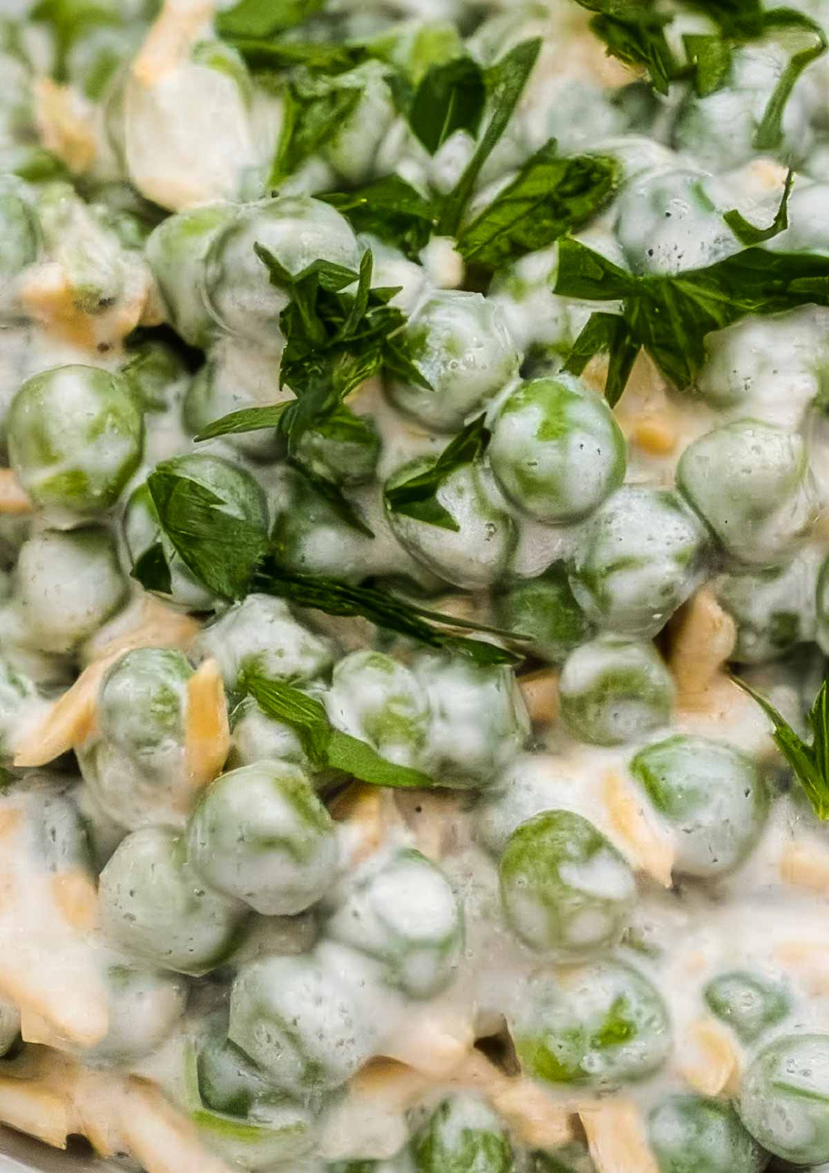 a closeup of an old fashioned pea salad that's topped with chopped parsley