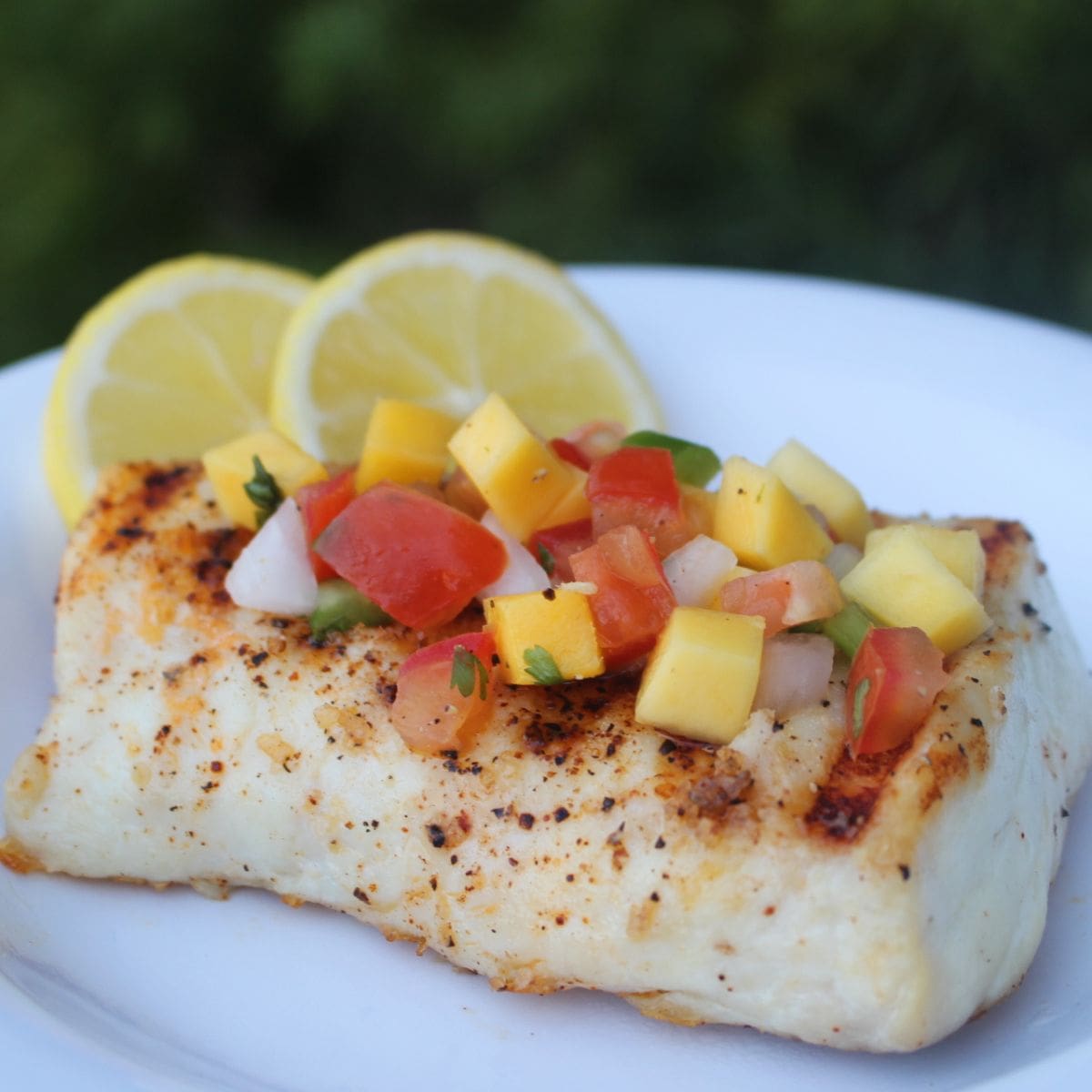Grilled Halibut