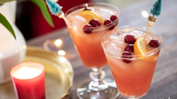 40 Christmas Holiday Cocktails