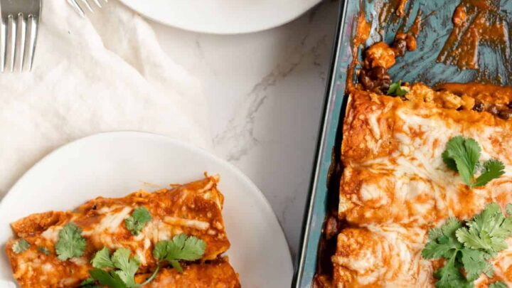 26 Ground Chicken Recipes + Creative Ideas for Every Meal Ground Chicken Enchiladas