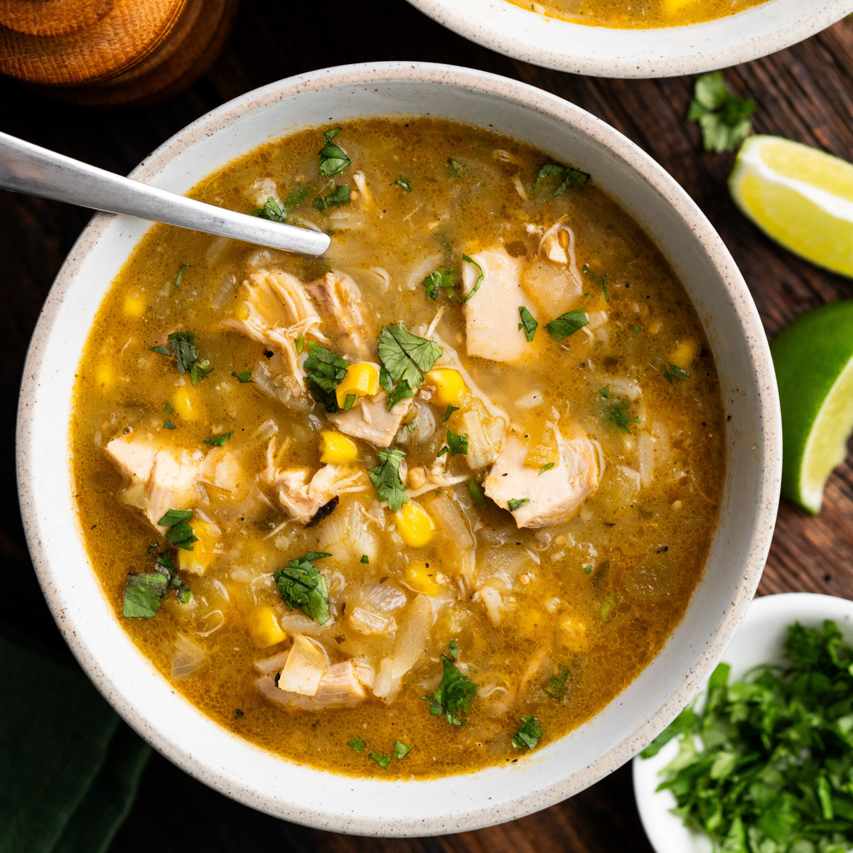 62 Hatch Chile Recipes (Spicy, Savory & So Addictive!)