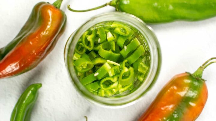 62 Hatch Chile Recipes (Spicy, Savory & So Addictive!)
