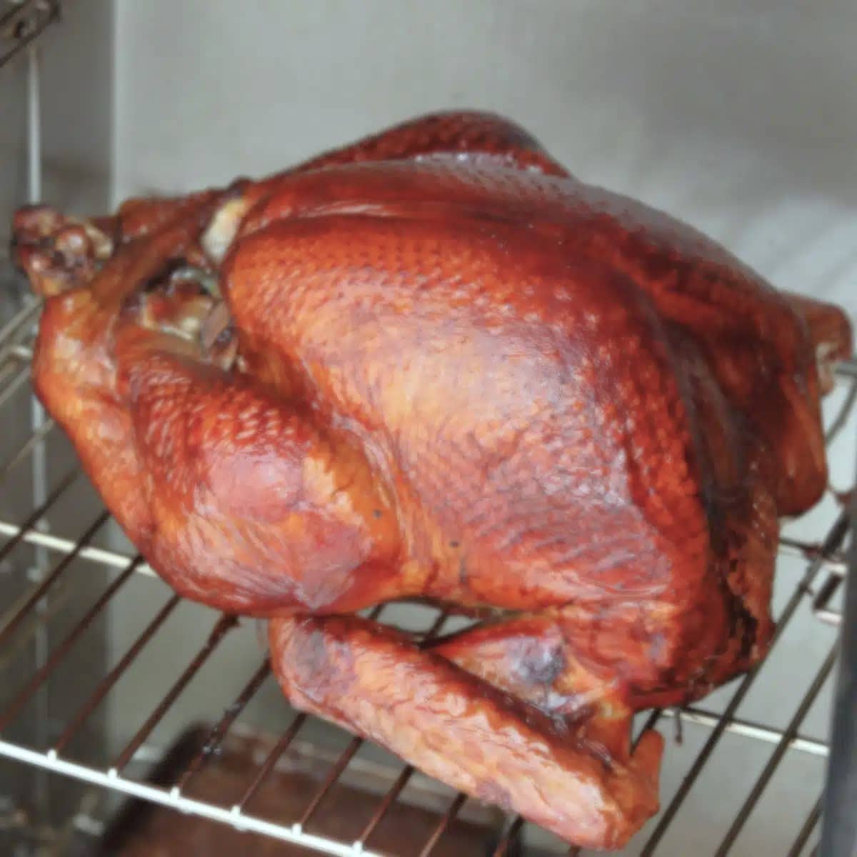 62 Smoker Recipes You’ll Love: Chicken, Pork, Beef & More