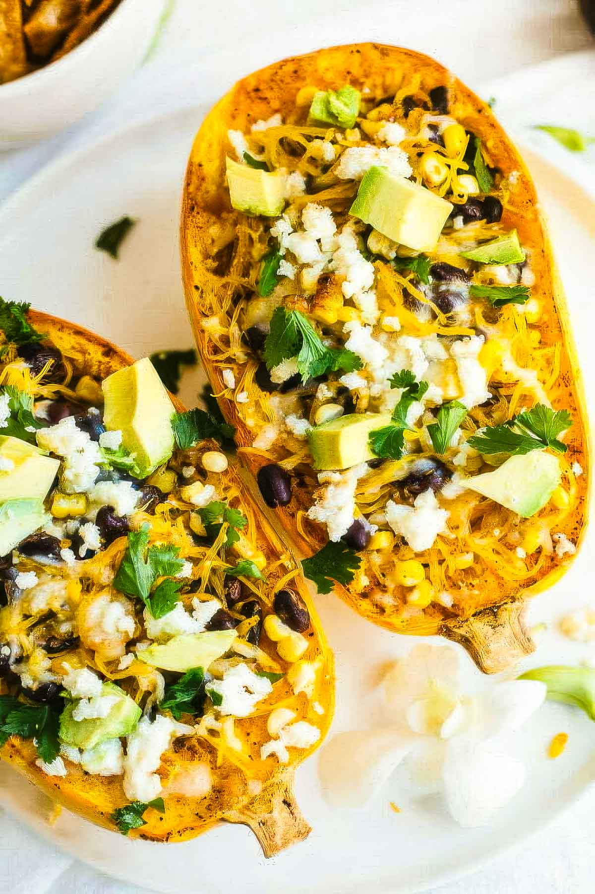 Mexican Spaghetti Squash a closeup of two mexican spaghetti squash on a white plate