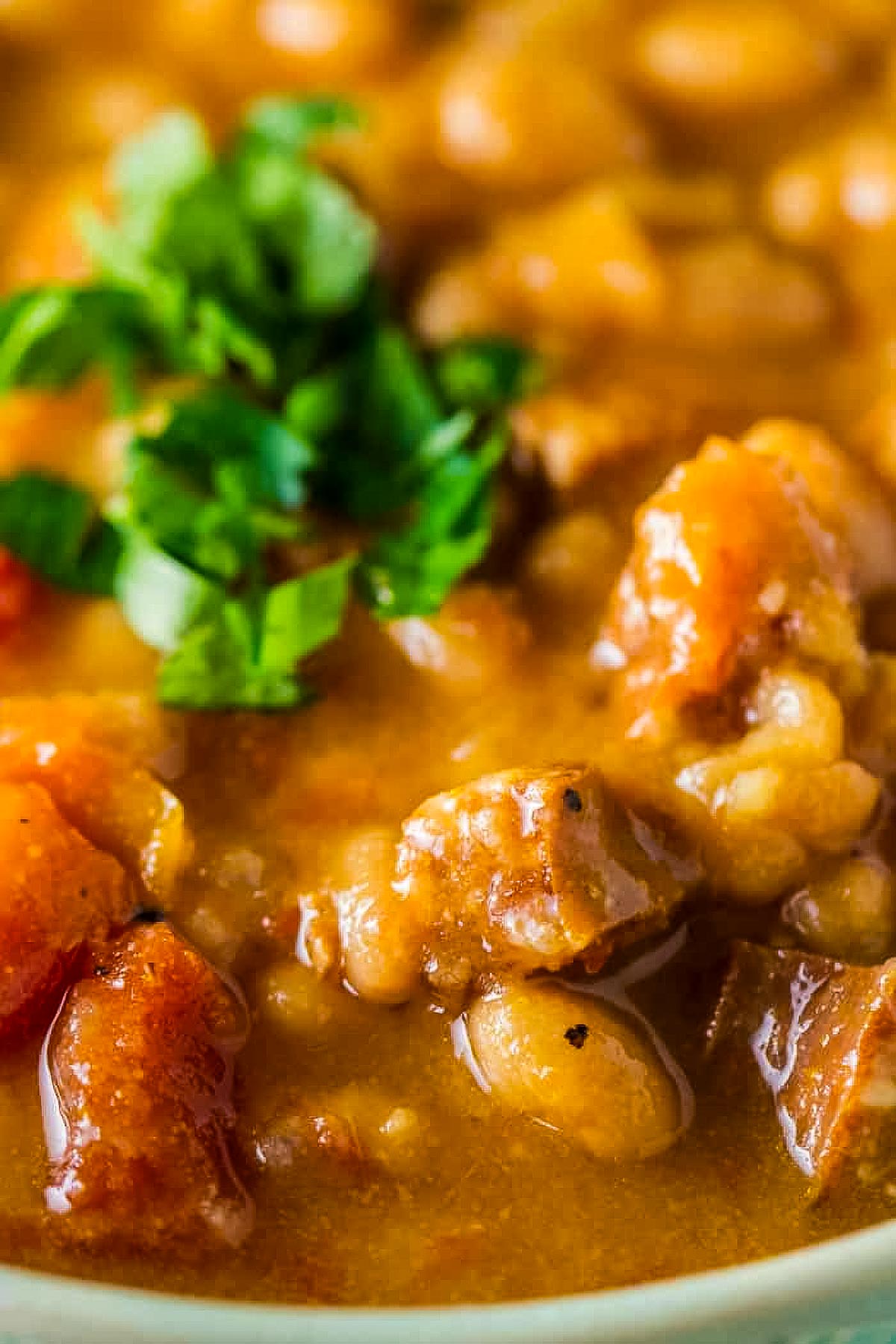 Sausage Bean Soup (Stovetop or Instant Pot) a closeup shot of sausage bean soup that's garnished with chopped fresh parsley