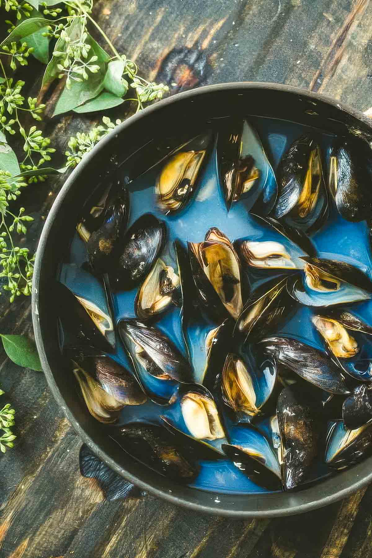 a big pot of freshly cooked mussels